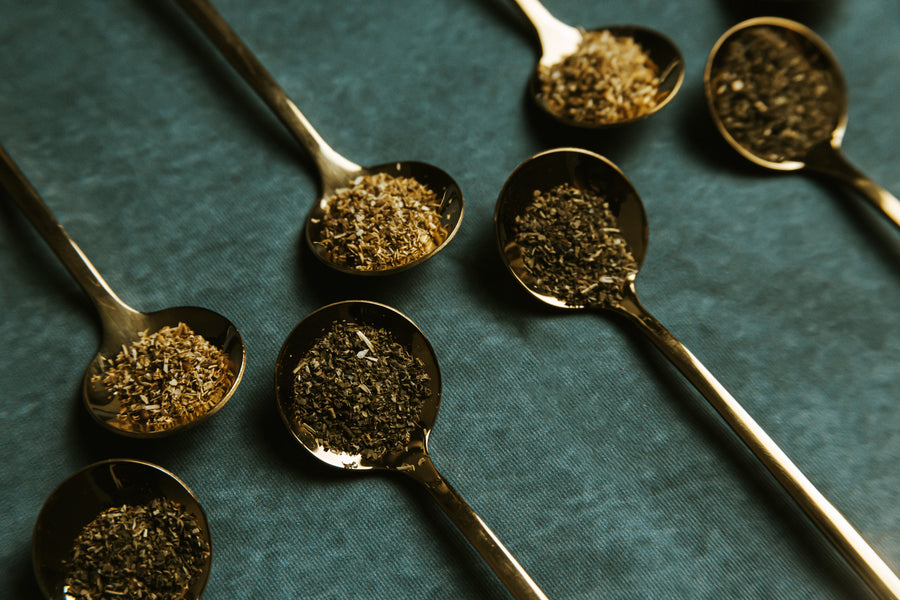 The Complete Guide to Different Types of Tea: Black, Green, White &amp; Herbal